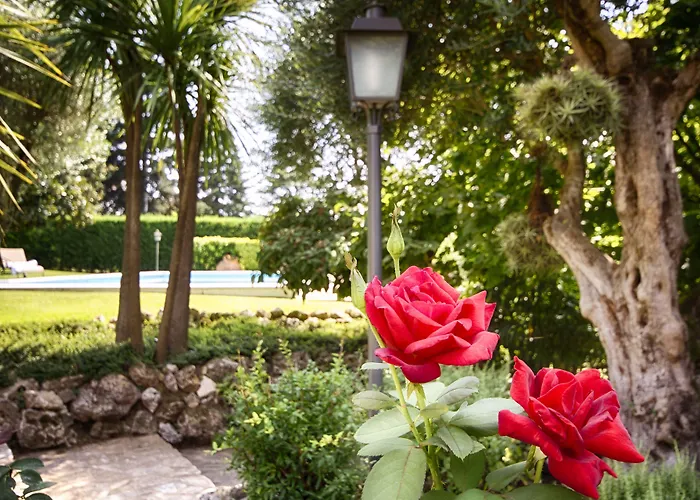 El Porxo 4* Жирона